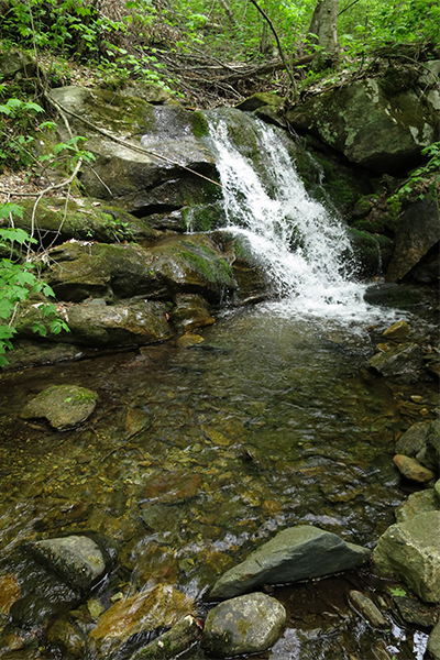 Branch Brook Falls, Vermont