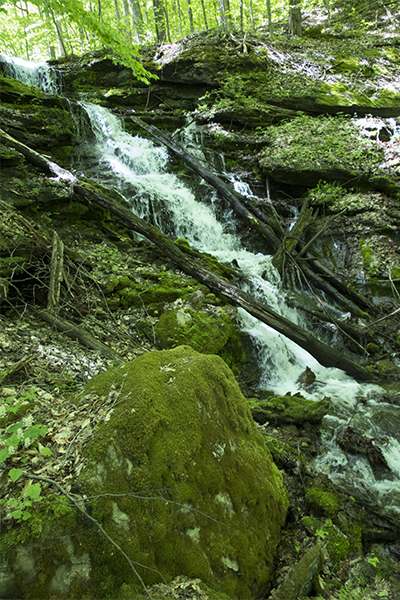 Cascades At The Equinox Preserve, Vermont