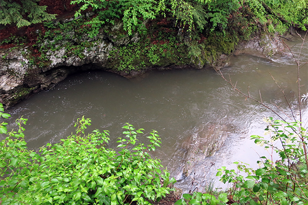 Cascades On The Poultney River, Vermont