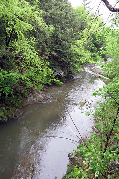 Cascades On The Poultney River, Vermont