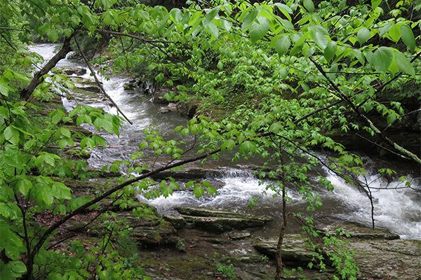 Cascades On The Poultney River, Vermont