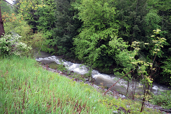 Cascades On The Poultney River, Vermont