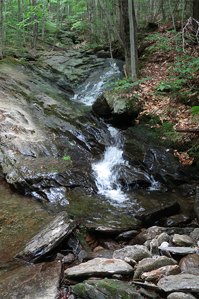 Codding Brook Cascades, Vermont