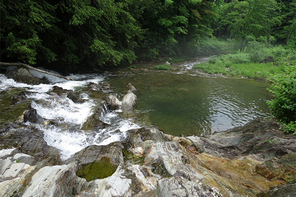 Cox Brook Cascades, Vermont