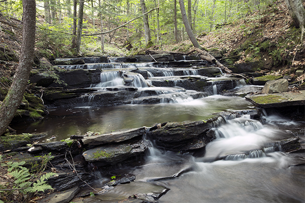 Gnome Stairs Falls, Vermont