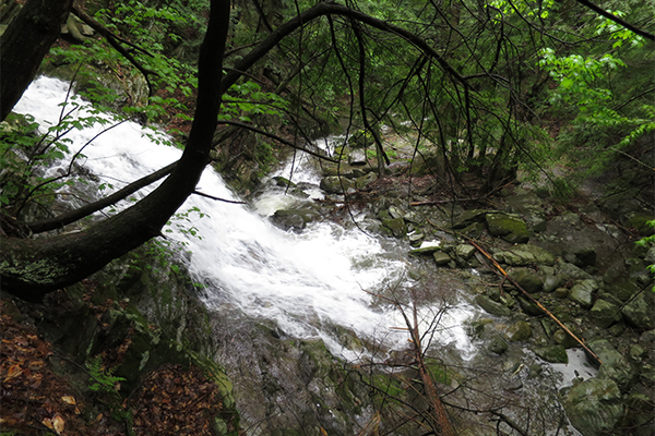 Gully Brook Falls, Vermont