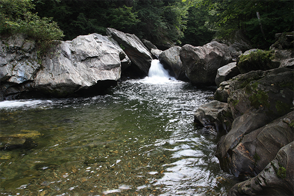 Jeff Falls, Vermont