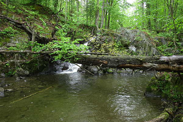 Joslins Falls, Vermont