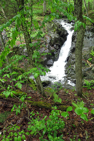 Joslins Falls, Vermont