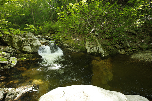 Mad Tom Brook Falls, Vermont