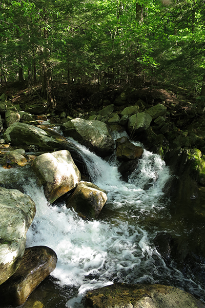 Mad Tom Brook Falls, Vermont