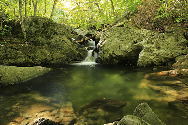 Sheep's Hole, Vermont