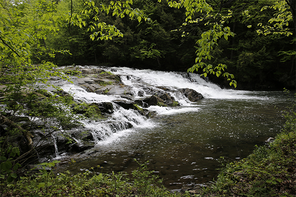 Stevens Branch Falls, Vermont