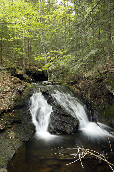 Tiny Brook Cascades, Vermont