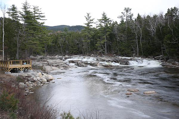 Lower Falls (Albany) (Best Swimming Holes in the White Mountains)