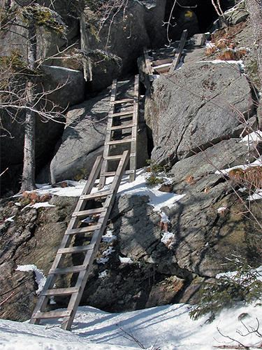 Mount Morgan Trail