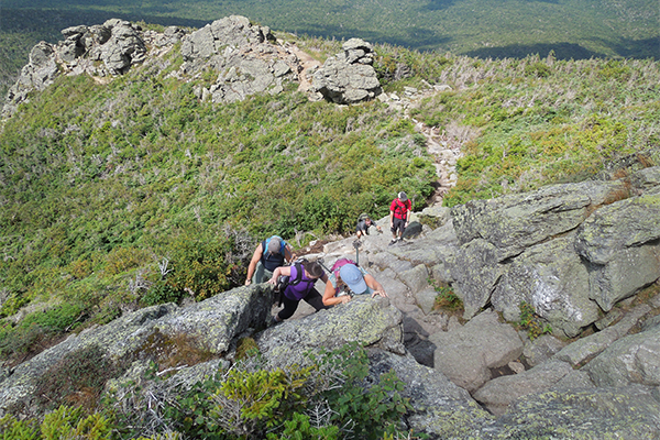 Caps Ridge Trail, Mt. Jefferson