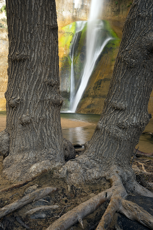 Lower Calf Creek Falls, Utah