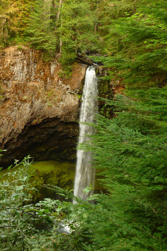Big Creek Falls, Washington