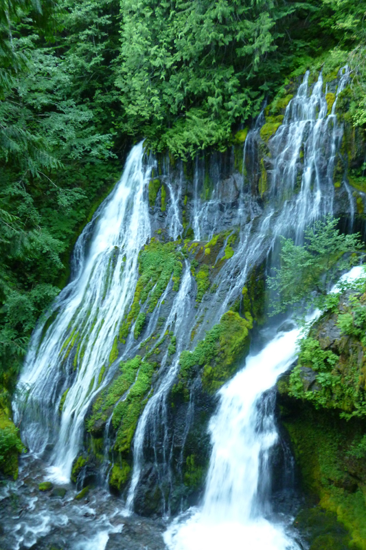 Panther Creek Falls, Washington