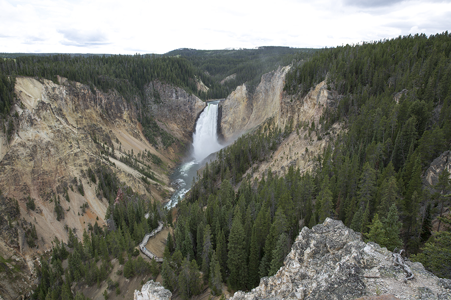 Lower Falls, Yellowstone River, Wyoming
