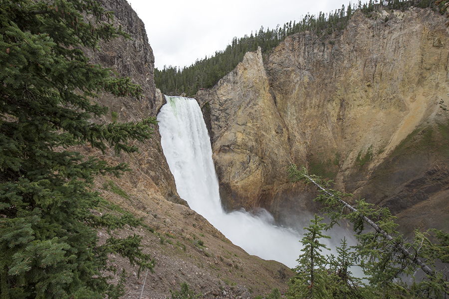 Lower Falls, Yellowstone River, Wyoming