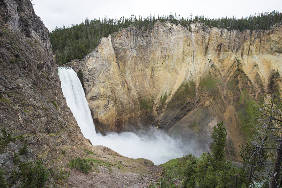Lower Falls, Yellowstone River, Wyoming