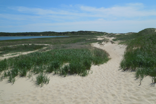 Great Island Trail, Cape Cod