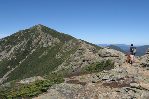looking towards Mt. Lincoln on the Franconia Ridge Trail