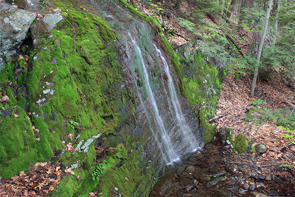 Falls On The Overbrook Trail, Lenox, Massachusetts