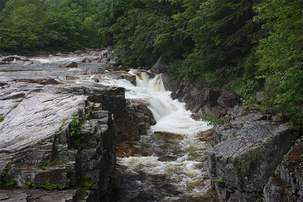 Rocky Gorge, New Hampshire