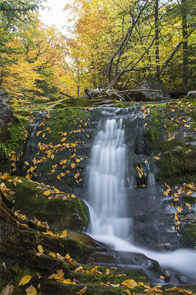 Winniweta Falls, Jackson, New Hampshire